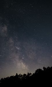 Preview wallpaper starry sky, night, space, trees