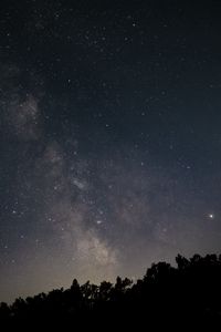 Preview wallpaper starry sky, night, space, trees