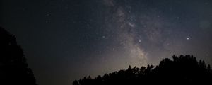 Preview wallpaper starry sky, night, space, trees