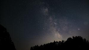 Preview wallpaper starry sky, night, space, trees