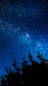 Preview wallpaper starry sky, night, stars, glitter, trees