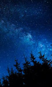 Preview wallpaper starry sky, night, stars, glitter, trees