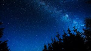 Preview wallpaper starry sky, night, stars, glitter, trees