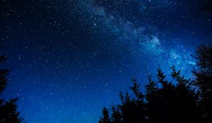 Preview wallpaper starry sky, night, stars, glitter, trees