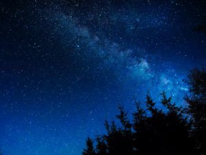 Preview wallpaper starry sky, night, stars, glitter, trees