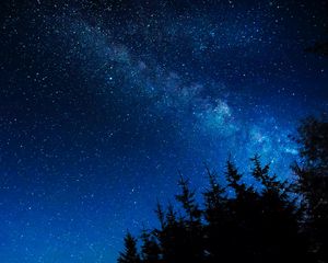 Preview wallpaper starry sky, night, stars, glitter, trees