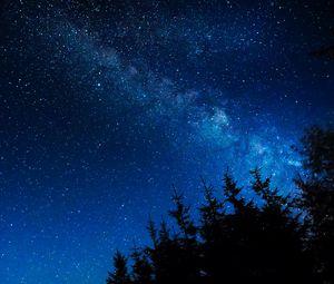 Preview wallpaper starry sky, night, stars, glitter, trees