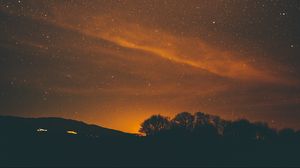 Preview wallpaper starry sky, night, stars, trees