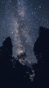 Preview wallpaper starry sky, night, stars, trees