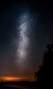 Preview wallpaper starry sky, night, stars, tree