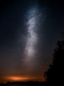 Preview wallpaper starry sky, night, stars, tree