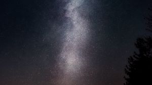 Preview wallpaper starry sky, night, stars, tree