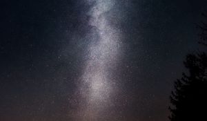 Preview wallpaper starry sky, night, stars, tree