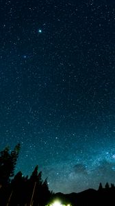 Preview wallpaper starry sky, night, stars, forest, nebula