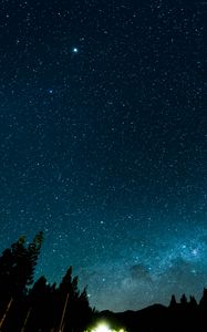 Preview wallpaper starry sky, night, stars, forest, nebula