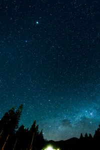 Preview wallpaper starry sky, night, stars, forest, nebula