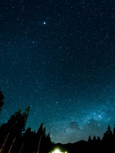 Preview wallpaper starry sky, night, stars, forest, nebula