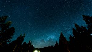 Preview wallpaper starry sky, night, stars, forest, nebula