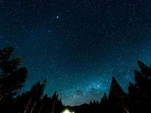 Preview wallpaper starry sky, night, stars, forest, nebula