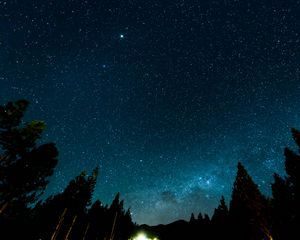 Preview wallpaper starry sky, night, stars, forest, nebula