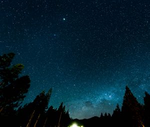 Preview wallpaper starry sky, night, stars, forest, nebula