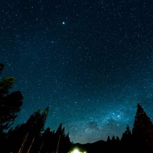 Preview wallpaper starry sky, night, stars, forest, nebula