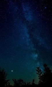 Preview wallpaper starry sky, night, stars, trees, night sky