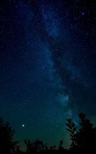 Preview wallpaper starry sky, night, stars, trees, night sky