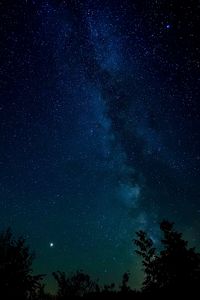 Preview wallpaper starry sky, night, stars, trees, night sky