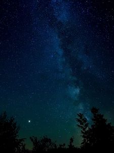 Preview wallpaper starry sky, night, stars, trees, night sky