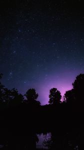 Preview wallpaper starry sky, night, stars, landscape, trees