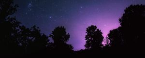 Preview wallpaper starry sky, night, stars, landscape, trees