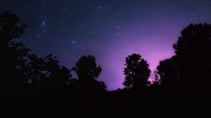 Preview wallpaper starry sky, night, stars, landscape, trees