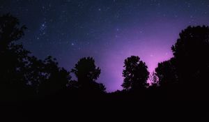 Preview wallpaper starry sky, night, stars, landscape, trees