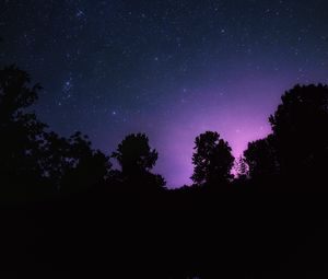 Preview wallpaper starry sky, night, stars, landscape, trees