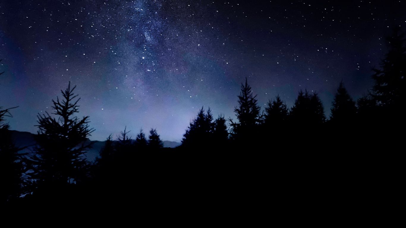 Starry sky in the forest, forest, stars, 1366x768, sky, HD wallpaper