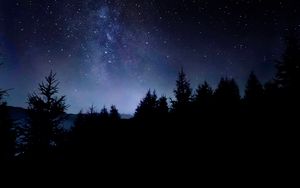 Preview wallpaper starry sky, night, stars, trees, dark