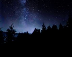 Preview wallpaper starry sky, night, stars, trees, dark