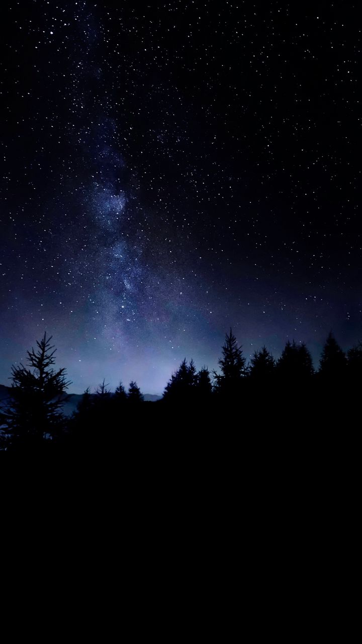 Download Dark Phone Night Sky With Stars Wallpaper