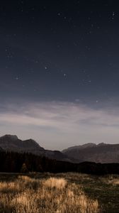 Preview wallpaper starry sky, night, stars, grass, mountains