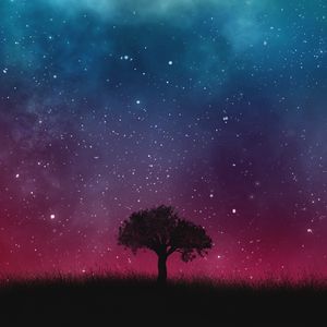 Preview wallpaper starry sky, night, tree