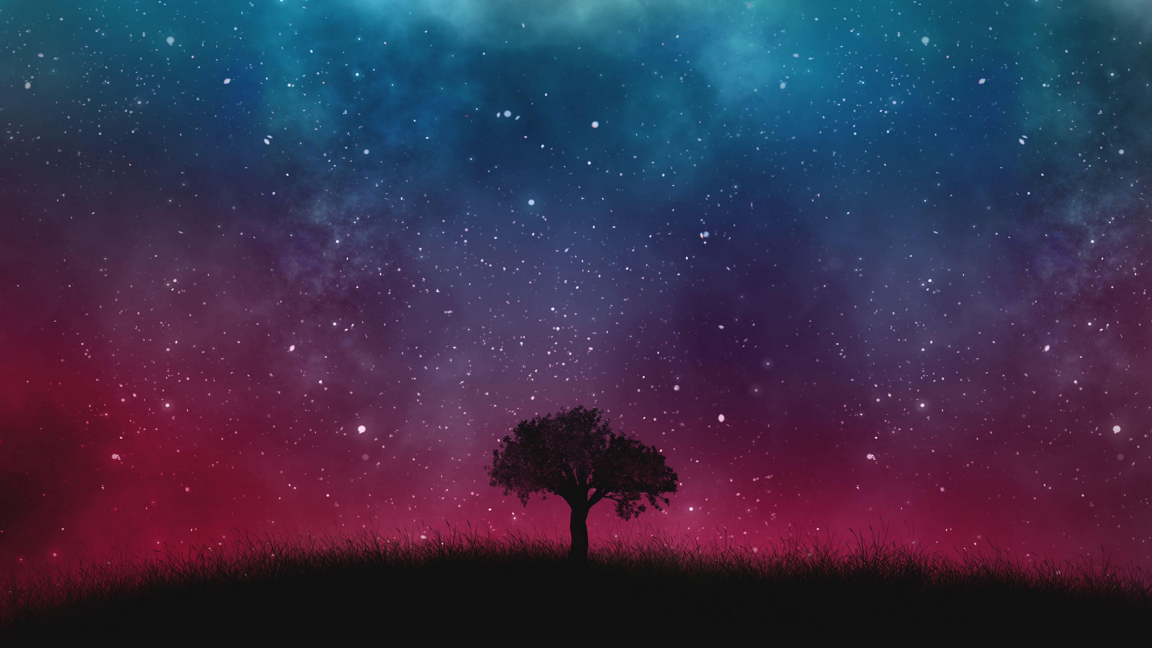 Download wallpaper 3840x2160 starry sky, night, tree 4k uhd 16:9 hd  background