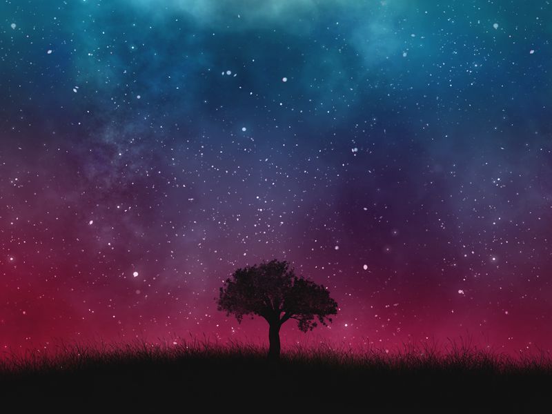 800x600 Wallpaper starry sky, night, tree