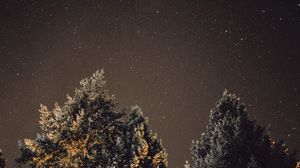 Preview wallpaper starry sky, night, tree, glitter