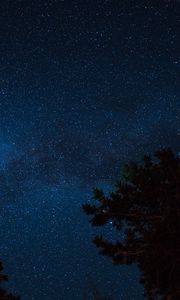 Preview wallpaper starry sky, night, trees, stars