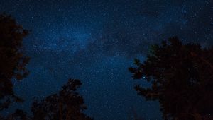 Preview wallpaper starry sky, night, trees, stars