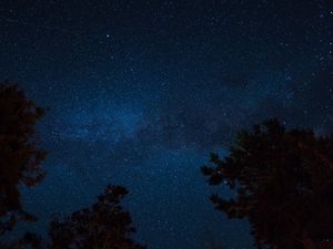 Preview wallpaper starry sky, night, trees, stars