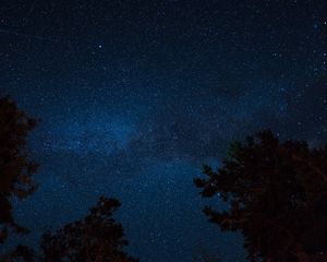 Preview wallpaper starry sky, night, trees, stars