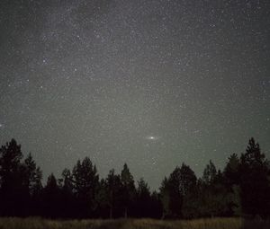 Preview wallpaper starry sky, night, trees, horizon