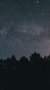 Preview wallpaper starry sky, night, trees, sky